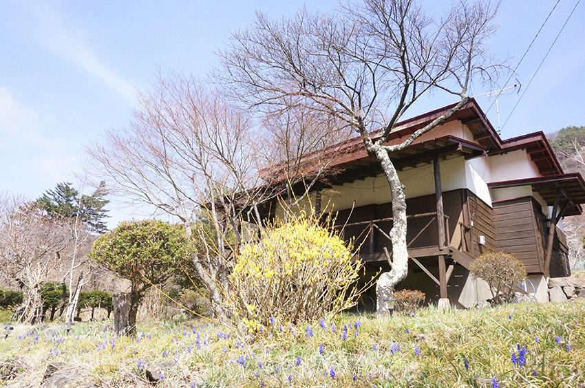 長野｜信州佐久 ペットと癒しの別荘