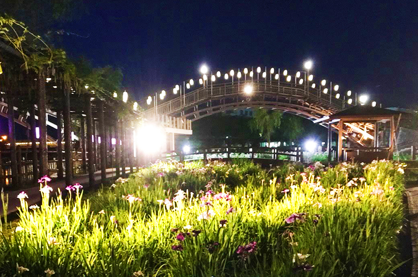 水郷潮来あやめ園