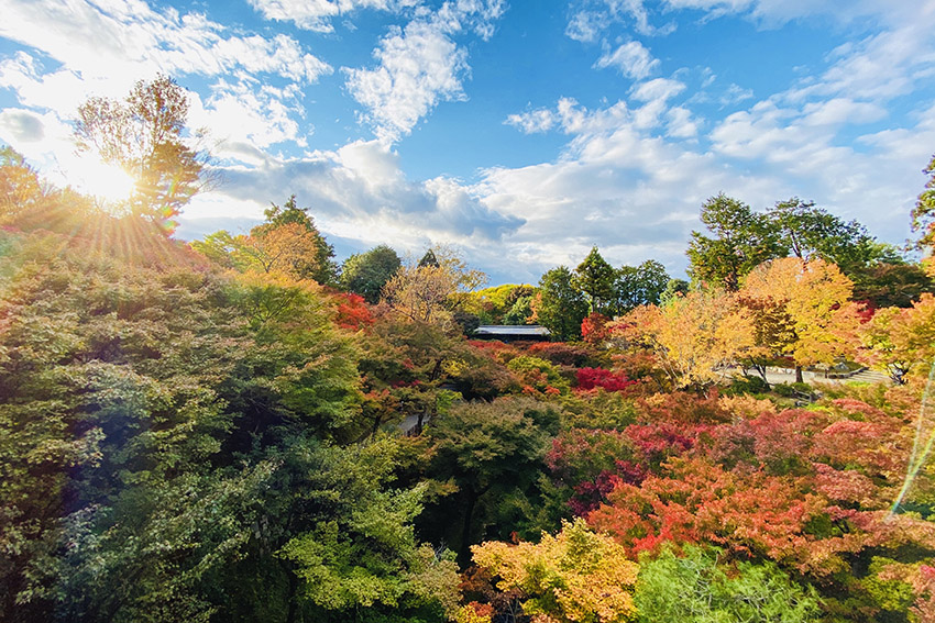 autumn 紅葉イメージ