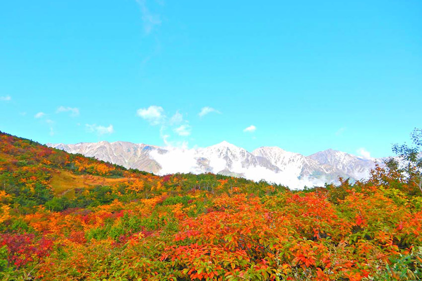 白馬　三段紅葉