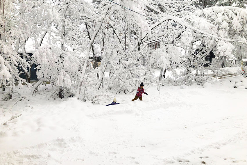 Villa Antelope Hakuba1