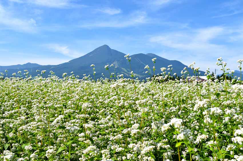 会津磐梯山