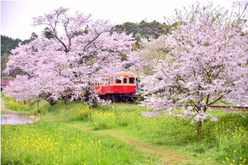 千葉の貸別荘 コテージ 千葉で人気のお花見スポットとおすすめの一棟貸し コテージ13選 Highly Selected Vacation Rentals Booking Staycation