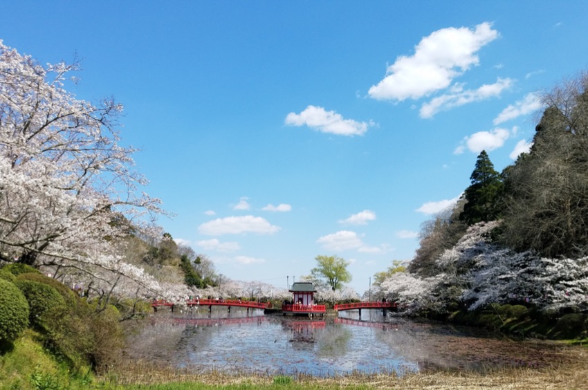 茂原公園