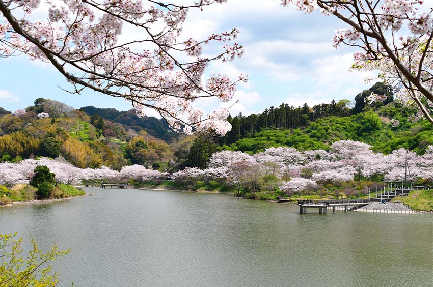 佐久間ダム湖