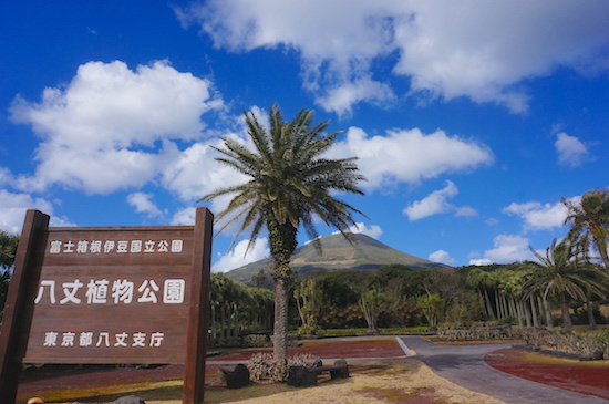 八丈島　植物公園