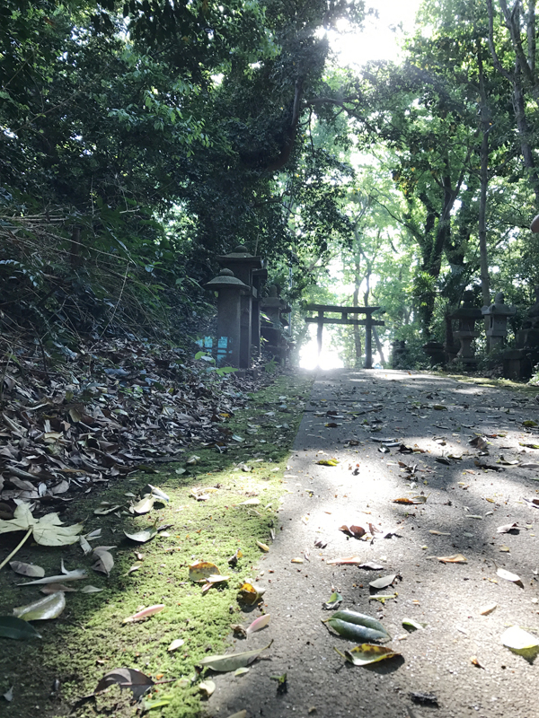 三戸浜　上諏訪神社