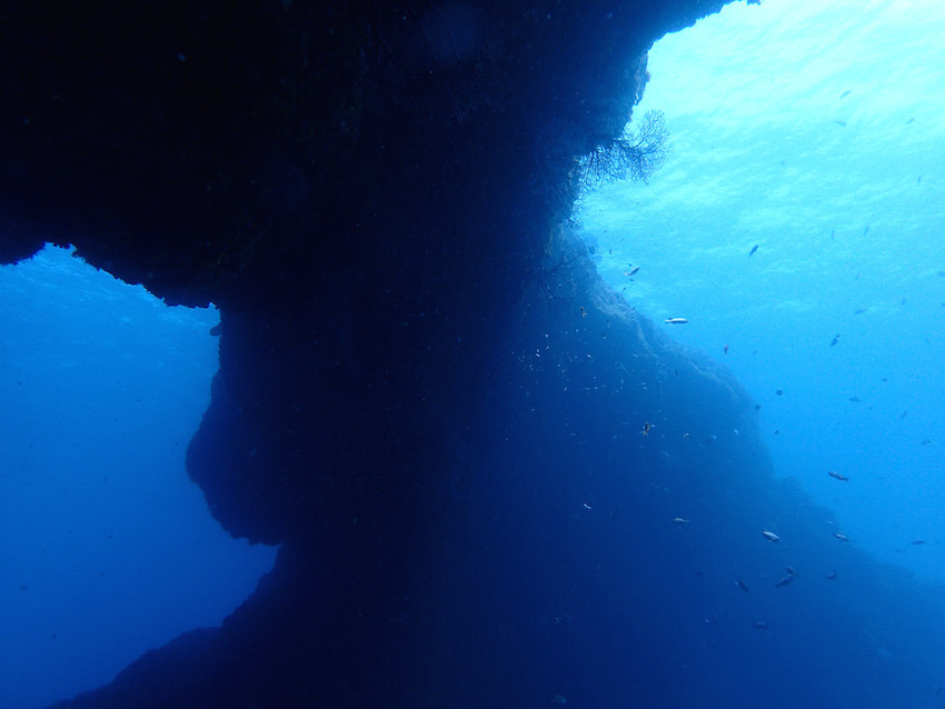 八丈島　ダイビング