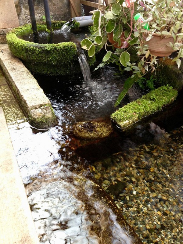 針江・生水の郷