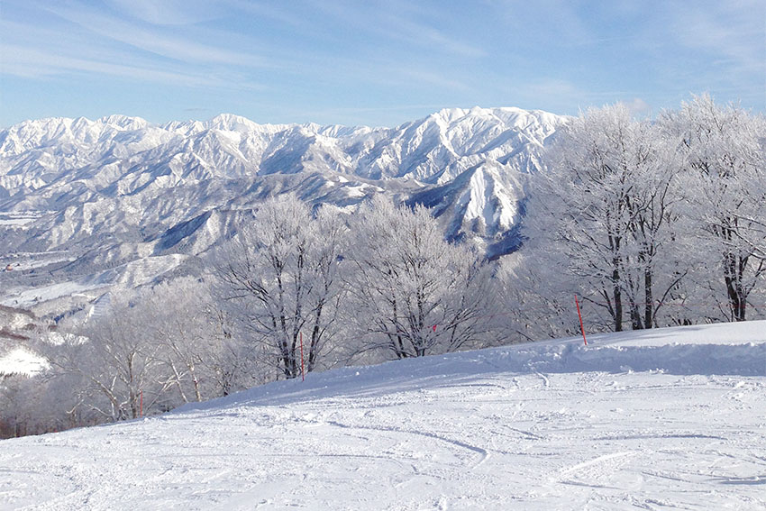 長野　スキー場