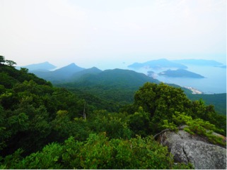 天草 港の無垢の家 えびすHOUSE　龍ヶ岳