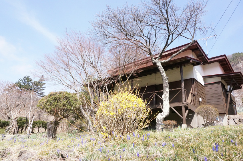 長野｜佐久平 ペットと癒しの別荘